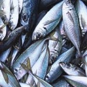 Рыба сушено-вяленая оптом