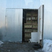 Хранилища для овощей и фруктов от производителя Дунай (Черновцы) фото