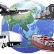 Контейнерные перевозки грузов из Индии в Казахстан. фото