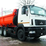 Самосвал МАЗ-6501В5-481-000 фото