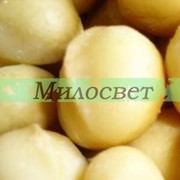 Масло ореха Макадамии фото