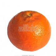 Апельсины оптом фотография
