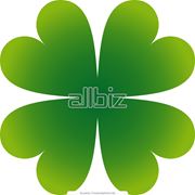 Разработка знака и логотипа фото