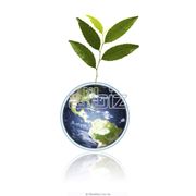 Услуги маркетинговые фото