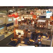 Организация выставок фото