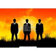 Трудоустройство фото