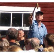 Тендеры фото