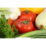 Экспорт сельскохозяйственных продуктов фото