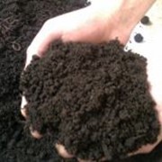 Грунт растительный фото