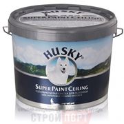 HUSKY® Super Paint Ceiling — 100% акриловая идеально белая краска для потолков