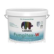Интерьерная краска Fungitex-W фото