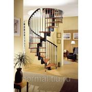 Спиралевидная лестница фото