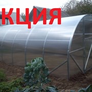 Теплица (оцинковка) из поликарбонатных листов(уф защита) 3х10 м. Агро-Премиум. Доставка по РБ. фото