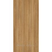 Dab Amerykanski фото