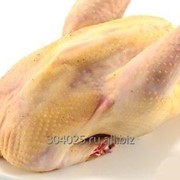 Мясо курицы несушки фотография