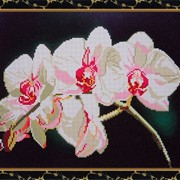 Схема для частичной вышивки бисером - "Белая орхидея"