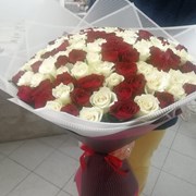 101 бело красная роза ин янь фотография