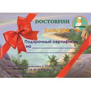 Подарочный сертификат на Экзотический биопилинг рыбками. фото