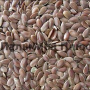 Семена льна согласно ГОСТ, льняные семена опт экспорт фото