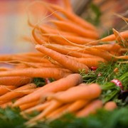 Морковь свежая, продажа, Украина