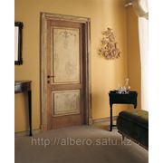 Куплю межкомнатные деревянные двери tiziano фото