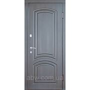 Двери “ПОРТАЛА“ - модель ПАРОДИ фото