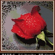 Картина-мозаика стразами Алая роза 26х29 см фотография
