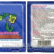 Морозник кавказский в пакете 10г фотография