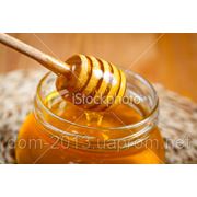 Мед и продукты пчеловодчества фото