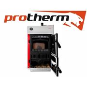 Protherm Твердотопливный котлёл Protherm Бобер 40DLO (32 кВт, дерево/уголь) фотография