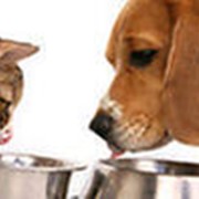 Сухой корм для кошек и собак Go natural (Гоу Натурал) фото