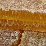Мед в сотах, Соты пчелиные, Мёд фото