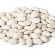Фасоль белая (white beans) фото