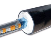 Thermon.Трубки предварительно изолированные TubeTrace с саморегулирующимся нагревательным кабелем FP фотография