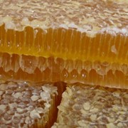 Мёд с маточным молочком фотография