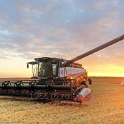 Комбайн зерноуборочный RSM 161 фото