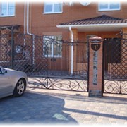Кованые ворота для дома, кованые изделия под заказ фото