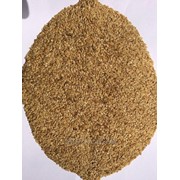 Gold flax seeds