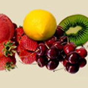 Оптовая и мелкооптовая торговля фруктами