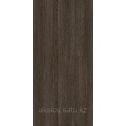 Sangha Wenge фото