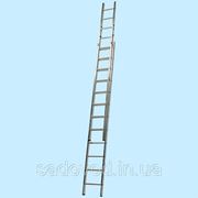 Приставная лестница KRAUSE Fabilo 2x12 (12-и ступенчатая) (6.05 м) фото