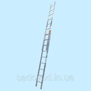 Приставная лестница KRAUSE Fabilo 2x9 (9-и ступенчатая) (4.4 м) фото