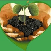 Регулятор роста Стабілан 75% SL, к.е. Nufarm фото