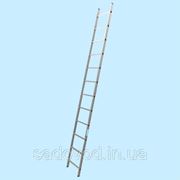 Приставная лестница Alumet P1 9112 (12-и ступенчатая) (3.53 м) фото
