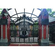 Кованые ворота “Риво“ фото
