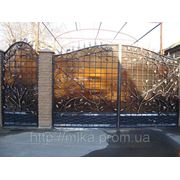 Ворота кованные с полликрбоната Киев Ирпень Буча Ворзель Гостомель фото
