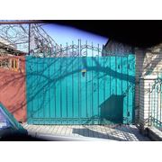 Ворота листовые + ковка фотография