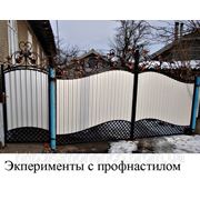 Кованные ворота фотография