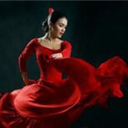 Урок Испанского танца фотография