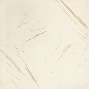 Керамогранит 240011 Versace Marble Bianco 58,5x58,5